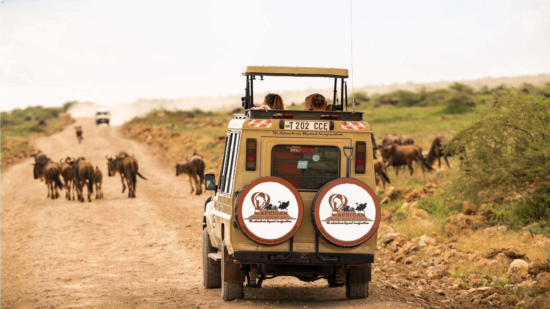 The Majestic Crown: Signature Serengeti & Ngorongoro Safari